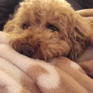 Meet your Posher, Beth